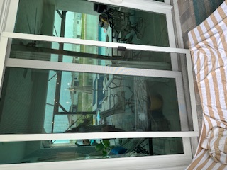 window cleaning result